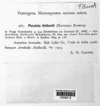 Image Associated With the Occurence